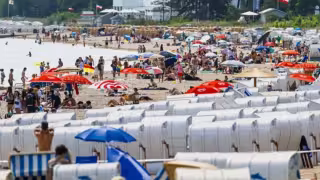 Bacteria “come carne” causa dos muertes en Alemania; alertan por riesgo en aguas cálidas