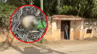 Hallan osamenta en Oxkutzcab; podría ser de un extranjero desaparecido