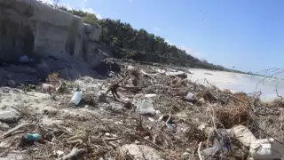 Las Coloradas, Yucatán, en grave problema de contaminación