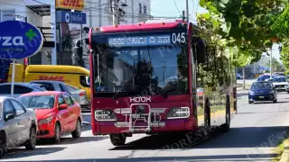 Ko’ox ampliará horario hasta la 1:00 am este 5 y 6 de enero por Paseo de Reyes en Campeche