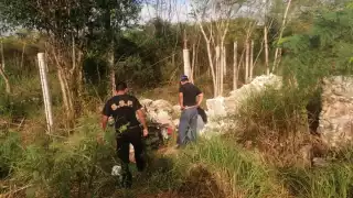 Al lugar de los hechos llegaron elementos de la Policía Municipal de Mocochá