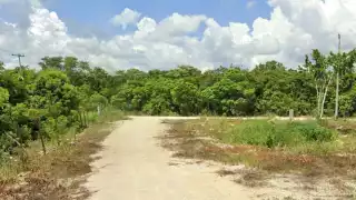 El nuevo relleno sanitario podrá recibir las 120 toneladas de basura que se generan en Isla Mujeres