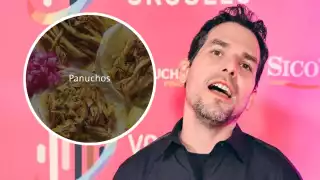   Yucatecos tunden al youtuber ‘Alan x el mundo’ por confundir los panuchos con tacos de cochinita  