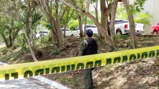 El pasado 7 de agosto se dio a conocer que Alito compró terrenos en 80 centavos el metro cuadrado