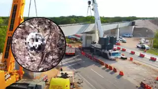 Autoridades investigan el hallazgo de la osamenta en los trabajos del Tren Maya en Tixkokob