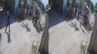 Indignación en Tekantó por brutal caso de maltrato animal captado en video