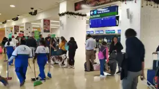 La perrita debió ser entregada el mediodía de ayer