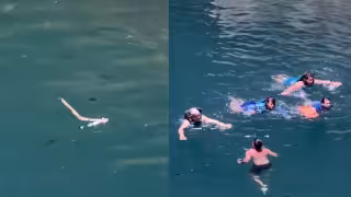 ¡Qué susto! Serpriente le cae encima a bañista en cenote de Yucatán y salen despavoridos