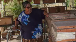 El precio de este producto es cotizado por sus características medicinales