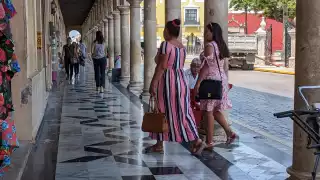 El municipio de Campeche ocupa el primer lugar al tener el registro de 300 denuncias por violencia familiar