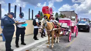 Operativo termina con la detención de dos calesas con caballos y una calesa eléctrica