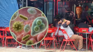 ¿Qué es la ciclosporiasis? Síntomas y medidas para prevenir la diarrea explosiva en Yucatán