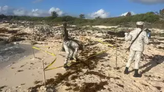 Aseguran cuatro kilos de marihuana en playas de Cozumel