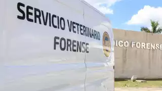 Comentó que la respuesta de las unidades, tanto de la especializada en maltrato animal como las móviles, son inmediatas