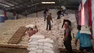 Ingresan toneladas de maíz blanco a bodegas de Hecelchakán en medio de inconformidad de productores