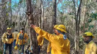 Es el incendio más grande de los cinco que ha sido registrado en esta temporada el año 2024