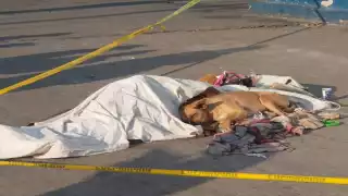 La mascota se acostó al lado del cuerpo mientras llegaban las autoridades