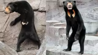 ¿Real o fake?. Foto: Especial