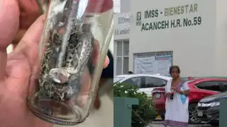 El menor fue trasladado al IMSS de Acanceh