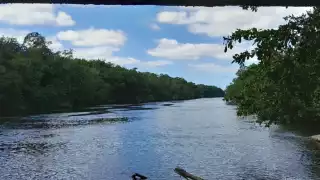 Incluso, los habitantes “protegen” a los involucrados cuando se realizan operativos