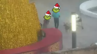 Intentan robarse la Navidad en Campeche: Detienen a dos “grinchs” en la Plaza de la República: VIDEO