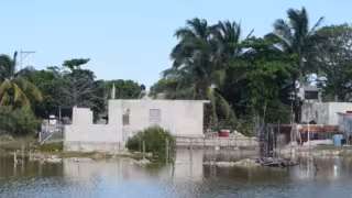 Endurecen acciones contra la destrucción de manglares y ocupación ilegal en la costa yucateca
