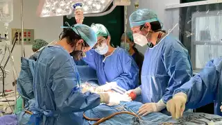 Los órganos que se trasplantan en el IMSS son: riñón, hígado, corazón, pulmón y páncreas