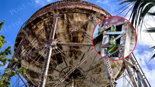 Tanque elevado deteriorado se convierte en refugio de loros en Ciudad del Carmen; advierten riesgo de colapso