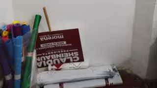 Víctor René Lara Cauich infringiría el Artículo constitucional 134