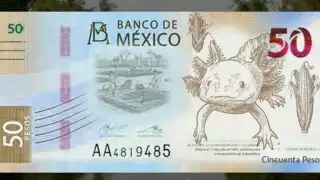 Estos billetes son considerados objetos de colección