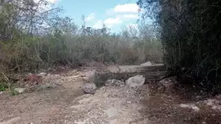 Ecocidio en la Reserva Biocultural del Puuc activa alertas ambientales; analizan  el impacto para tomar acciones contra el empresario inmobiliario