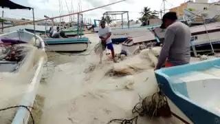 Frente Frío 'golpea' el cierre de temporada de pulpo en Chabihau, Yobaín