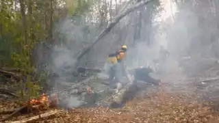 Semabicce informó que los 19 combatientes que trabajaron en Xbonil Viejo dieron por liquidado el fuego