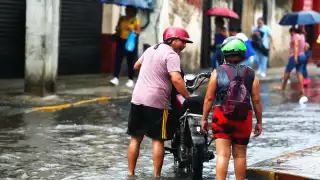 Nienestar lanzó el comunicado para que la ciudadanía esté segura