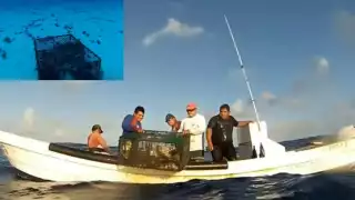 Las condiciones climáticas adversas favorecen la actividad pesquera, al mover la langosta en el lecho marino