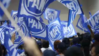 Las diputaciones locales son la maroría en Mérida