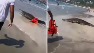 El momento fue captado por bañistas que disfrutaban de la playa
