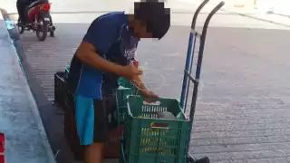 Pobladores mencionaron que en los últimos años se ha podido ver a menores de edad trabajando