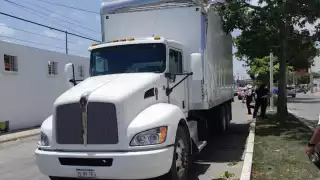 El árbol cayó al suelo y provocó a su vez un daño menor en la parte de arriba de la caja de carga