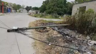 El poste es propiedad de la empresa Telmex