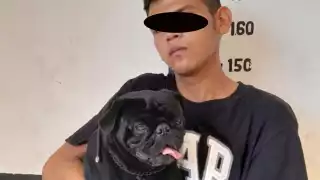 Al detenerlo, el joven hirió a un policía con un desarmador