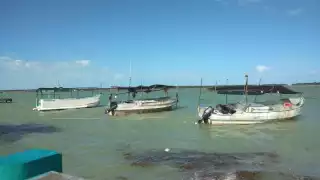 La actividad he sido buena en los últimos meses, sin depender del pulpo