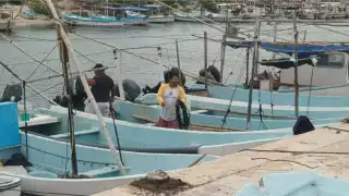 Fiebre de pulpo decepciona a pescadores de Sinanché y Yobaín