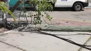 Vecinos ya reportaron el hecho para recuperar el servicio lo antes posible
