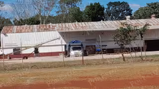 Maiceros de Dzitbalché denuncian que Alimentación para el Bienestar compra maíz a coyotes