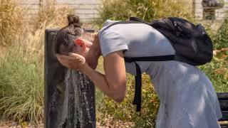 Ola de calor en Alemania deja unas 14 mil muertes y supera el récord de 2018