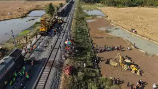 Tren arrolla a una manada de elefantes en India: mueren siete ejemplares y se reabre debate sobre los corredores de fauna