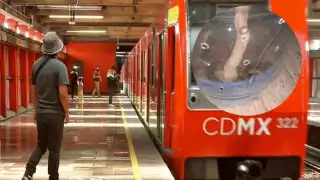 La serpiente fue trasladada a las instalaciones de la Profepa