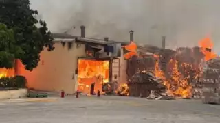 Se registra incendio en la planta de cartón de una empresa avícola en el Periférico de Mérida