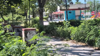 Vecinos alertan por proliferación de mosquitos en parque La Cruz de Champotón